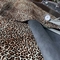 Rinderleopard-Druck überziehen Stärke des Gewebe-1mm-3mm für Schuh-Taschen mit Leder